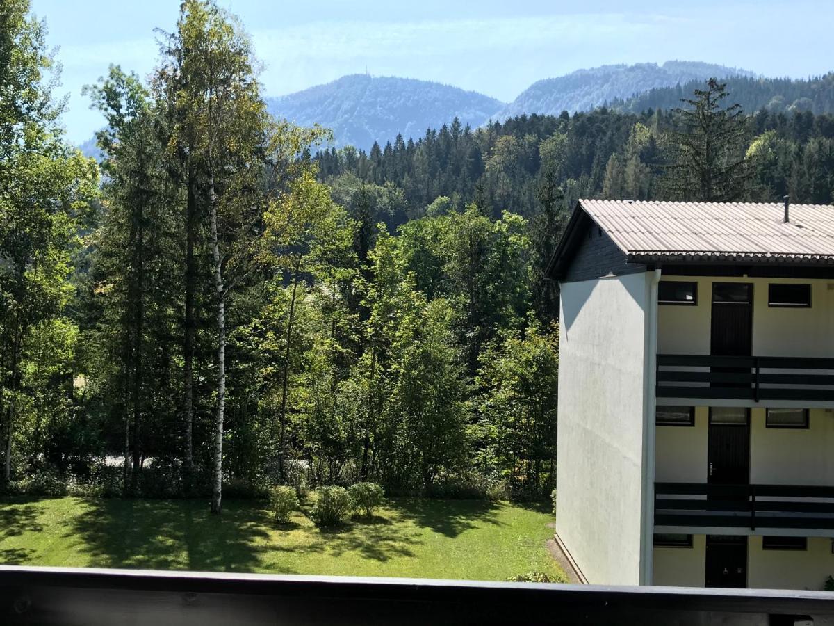 Alm-Wohnung 15 Gruenau im Almtal Bagian luar foto